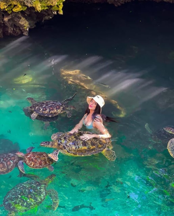 Zanzibar: Swim with Sea Turtles at Baraka or Salaam Aquarium | ®ExcursionMania