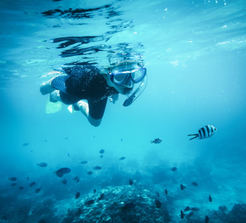 Zanzibars Aquatic Wonders: Snorkeling Mnemba and Dolphins | ®ExcursionMania