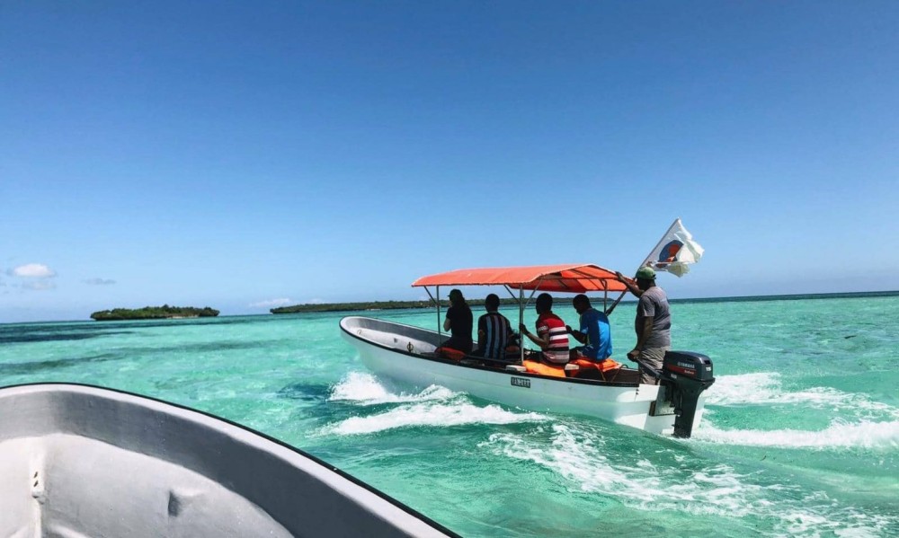 Zanzibars Aquatic Wonders: Snorkeling Mnemba and Dolphins | ®ExcursionMania