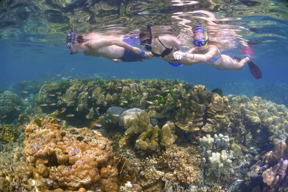 Zanzibars Aquatic Wonders: Snorkeling Mnemba and Dolphins | ®ExcursionMania