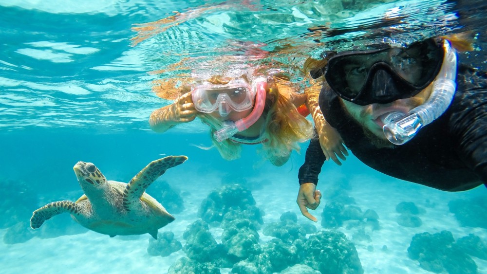 Discover Tumbatu Island: Private Snorkeling Adventure | ®ExcursionMania