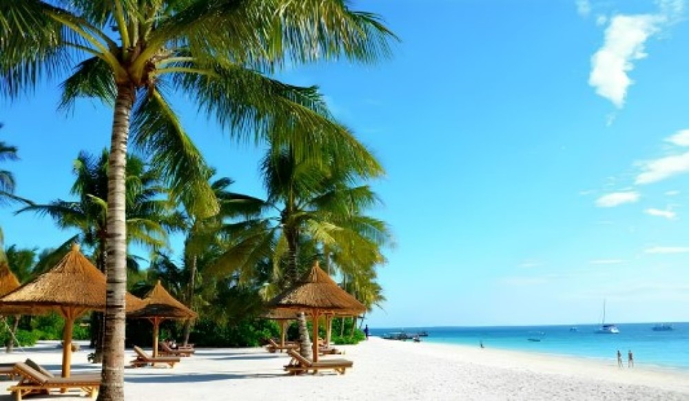 Zanzibar: Discovering paradise A Day Trip at Kendwa Beach | ®ExcursionMania