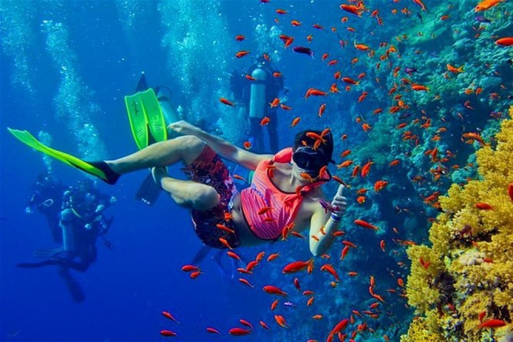 Zanzibar: Mnemba atoll, dolphin & snorkelling tour | ®ExcursionMania