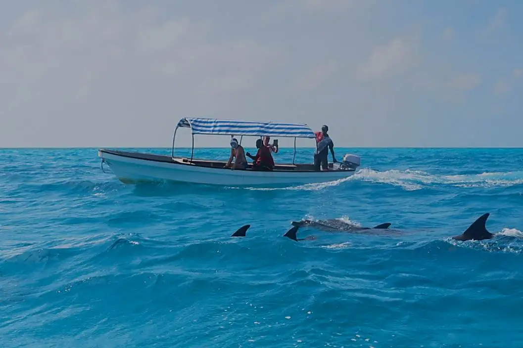 Zanzibar: Mnemba atoll, dolphin & snorkelling tour | ®ExcursionMania