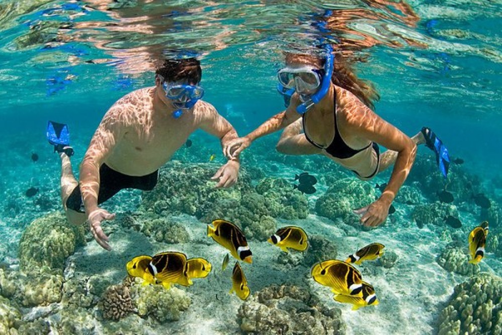 Zanzibar: Mnemba atoll, dolphin & snorkelling tour | ®ExcursionMania