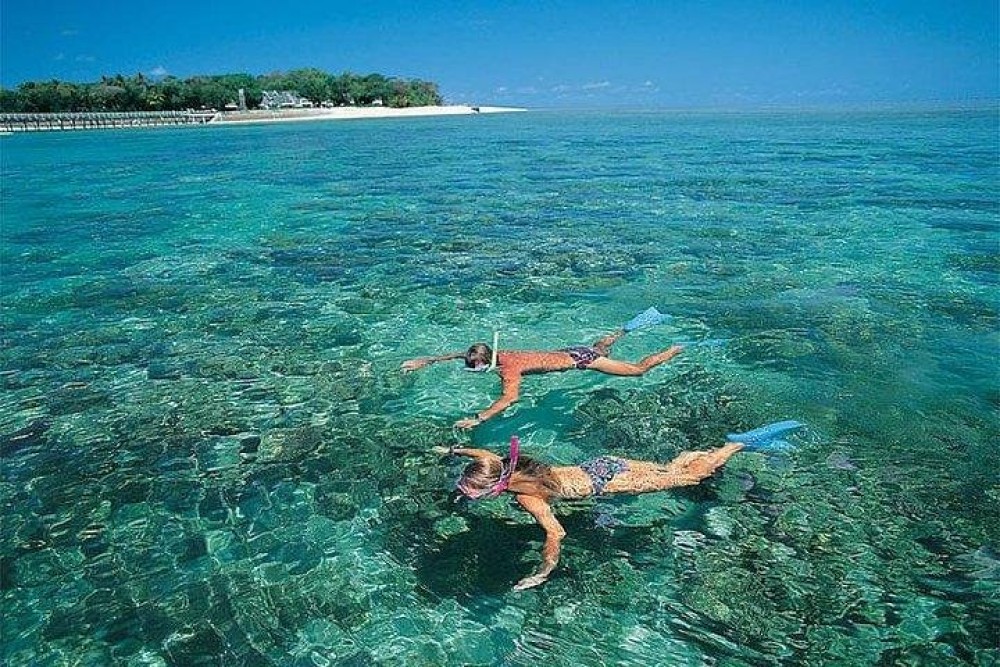 Zanzibar: Mnemba atoll, dolphin & snorkelling tour | ®ExcursionMania