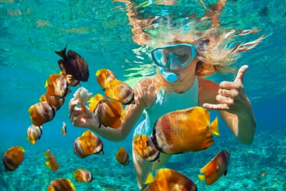 Zanzibar: Snorkeling at blue lagoon & Star fish tour | ®ExcursionMania