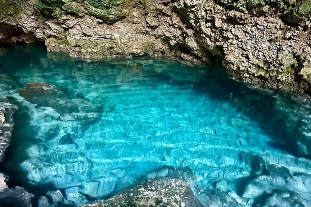 Blue Lagoon, Starfish Tour, The Rock, Paje Beach, Jozani | ®ExcursionMania