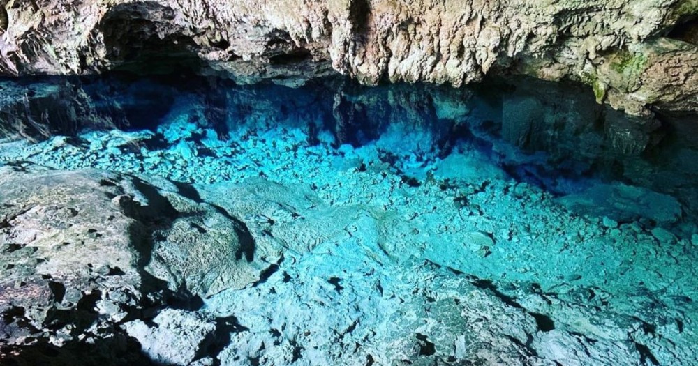 Blue Lagoon, Starfish Tour, The Rock, Paje Beach, Jozani | ®ExcursionMania