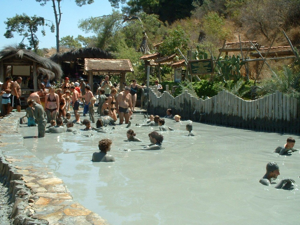Image 5