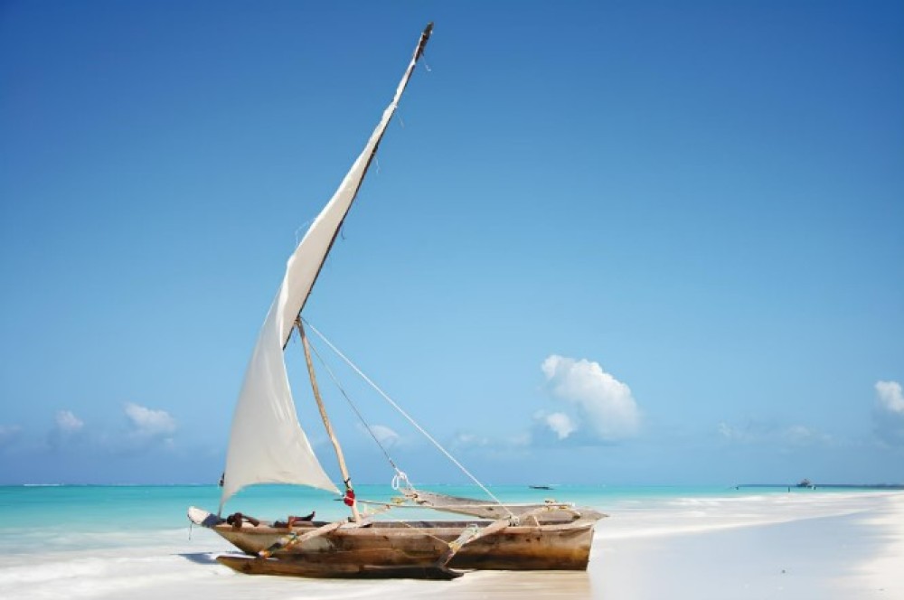 Jozani Forest, Blue Lagoon, Starfish, The Rock, Paje Beach | ®ExcursionMania