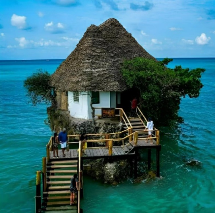 Jozani Forest, Blue Lagoon, Starfish, The Rock, Paje Beach | ®ExcursionMania