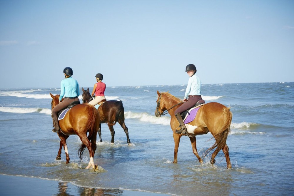 Cooking Class Tour, Stone Town Tour, Horseback Riding | ®ExcursionMania
