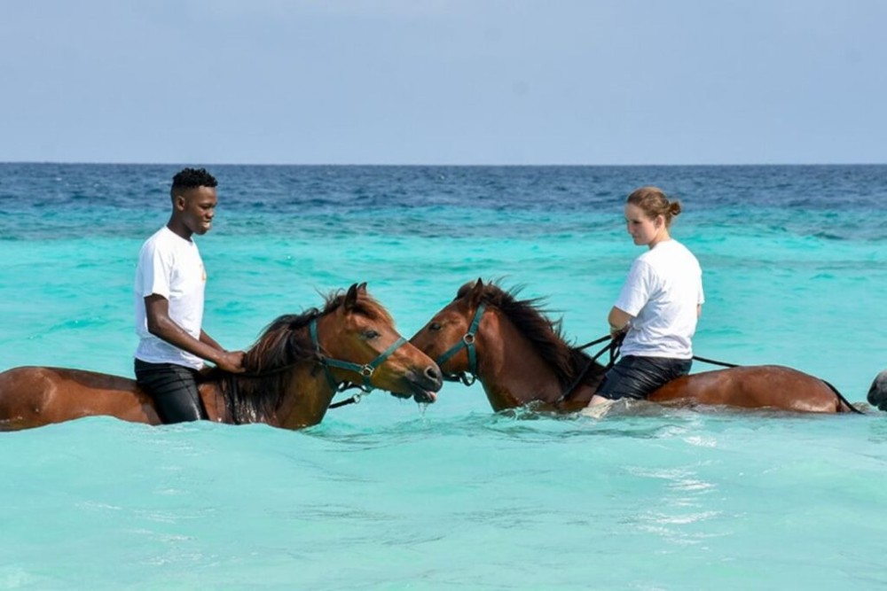 Cooking Class Tour, Stone Town Tour, Horseback Riding | ®ExcursionMania