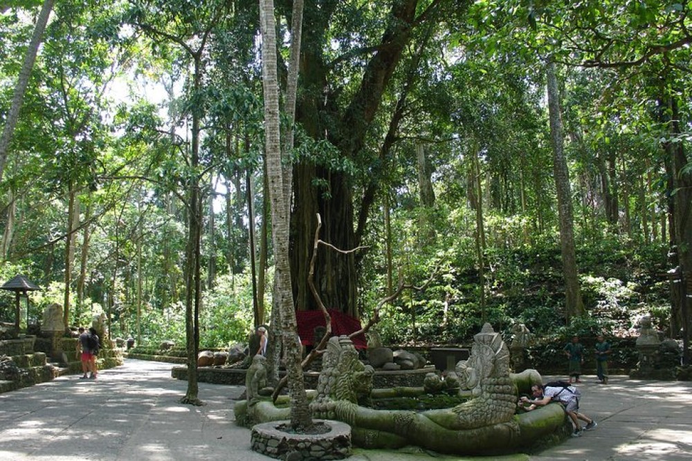 Image 6