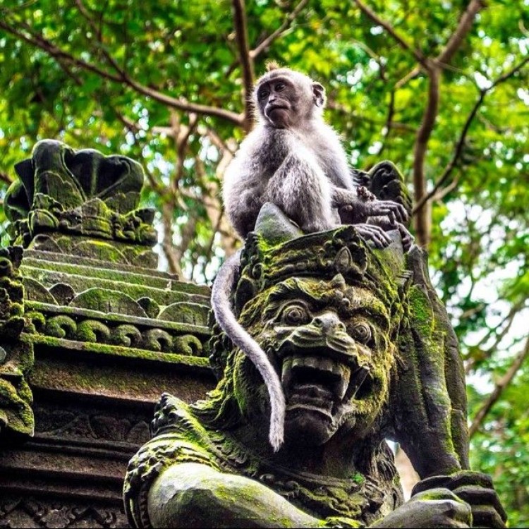 Discover Ubud: 2 Days Ubud Private Tour | ®ExcursionMania