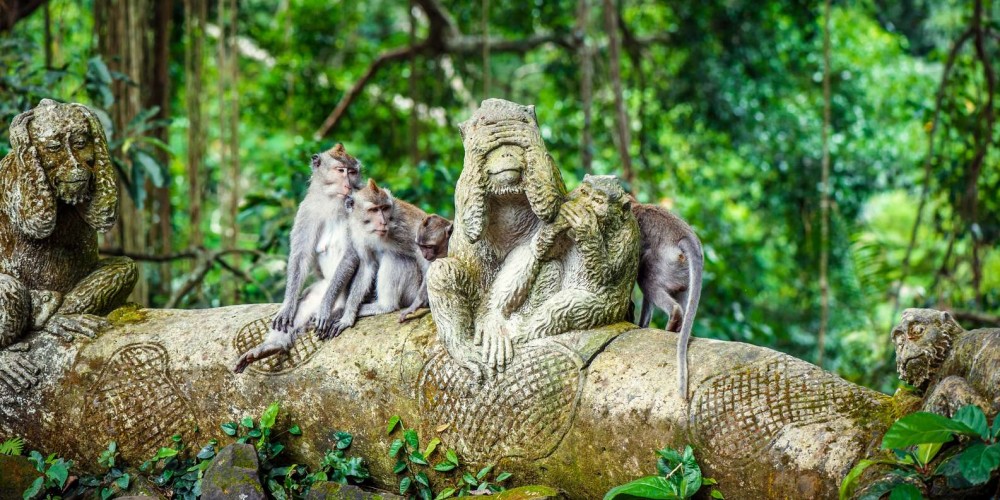 Discover Ubud: 2 Days Ubud Private Tour | ®ExcursionMania
