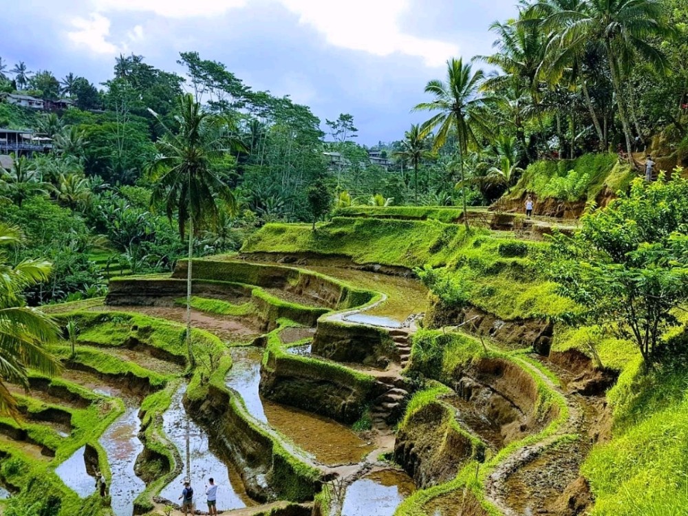 Discover Ubud: 2 Days Ubud Private Tour | ®ExcursionMania