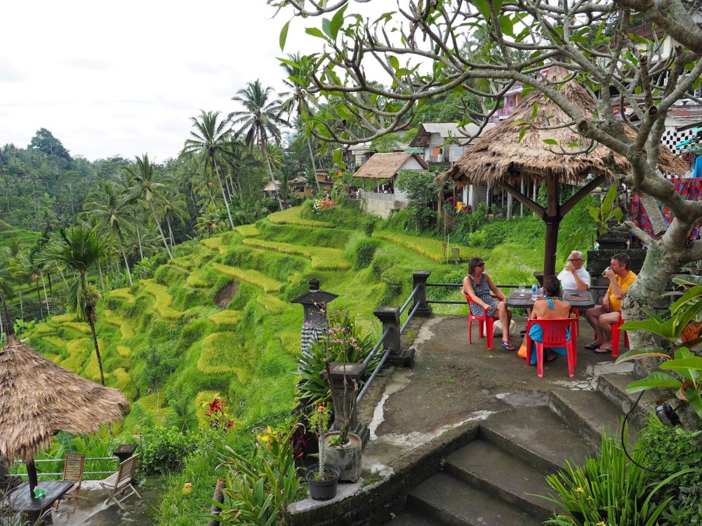 Discover Ubud: 2 Days Ubud Private Tour | ®ExcursionMania