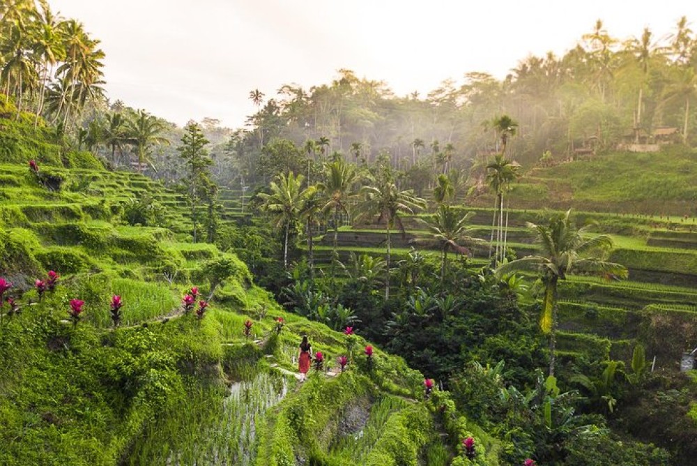 Private Full-Day Tour: Balinese Temples and Rice Terraces | ®ExcursionMania