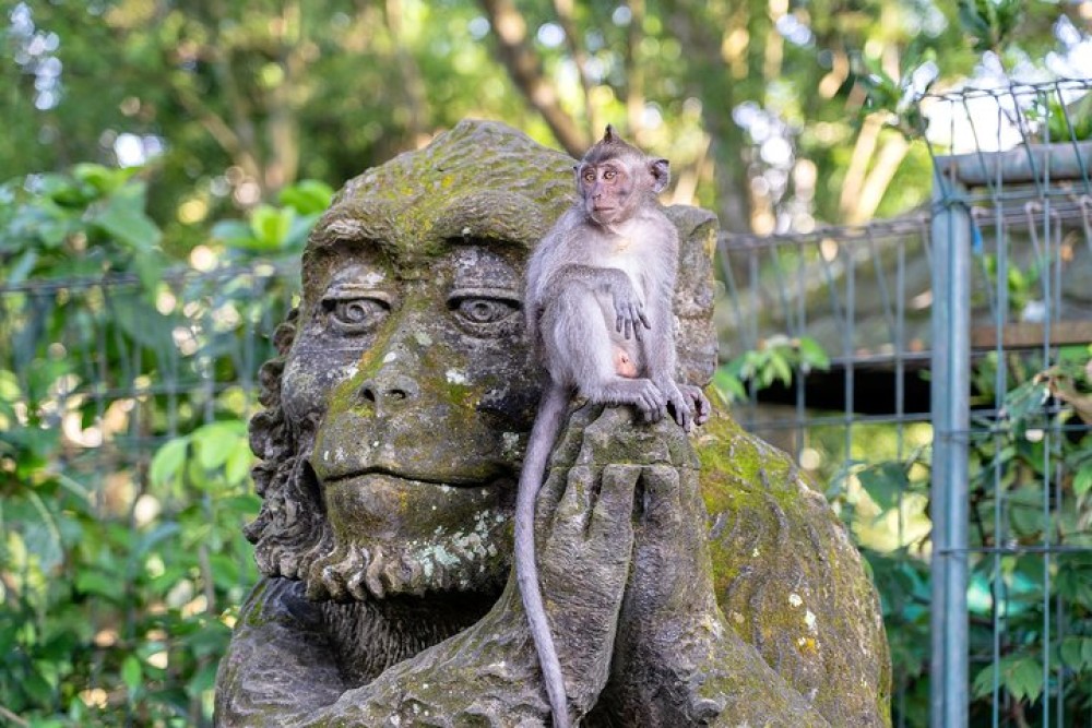 Private Full-Day Tour: Balinese Temples and Rice Terraces | ®ExcursionMania