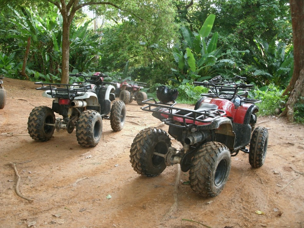 Image 7