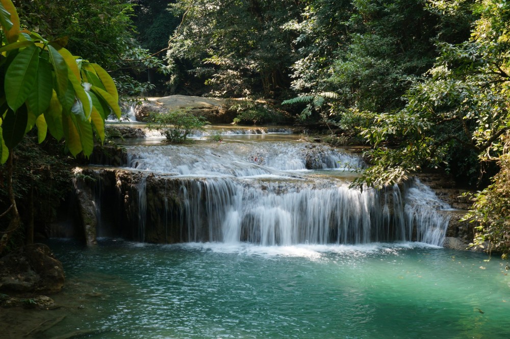 Image 4