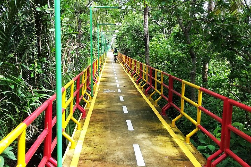 Image 7
