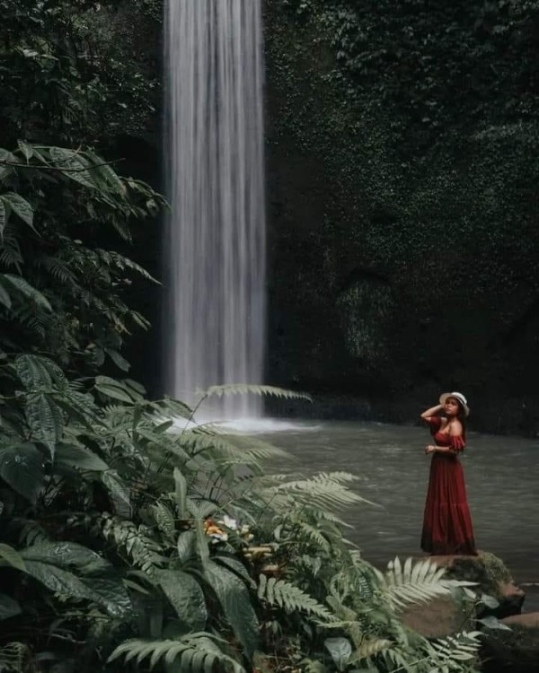Image 12