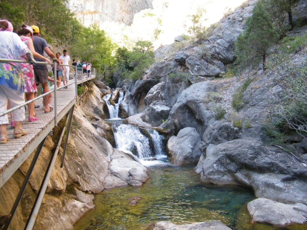 Image 6