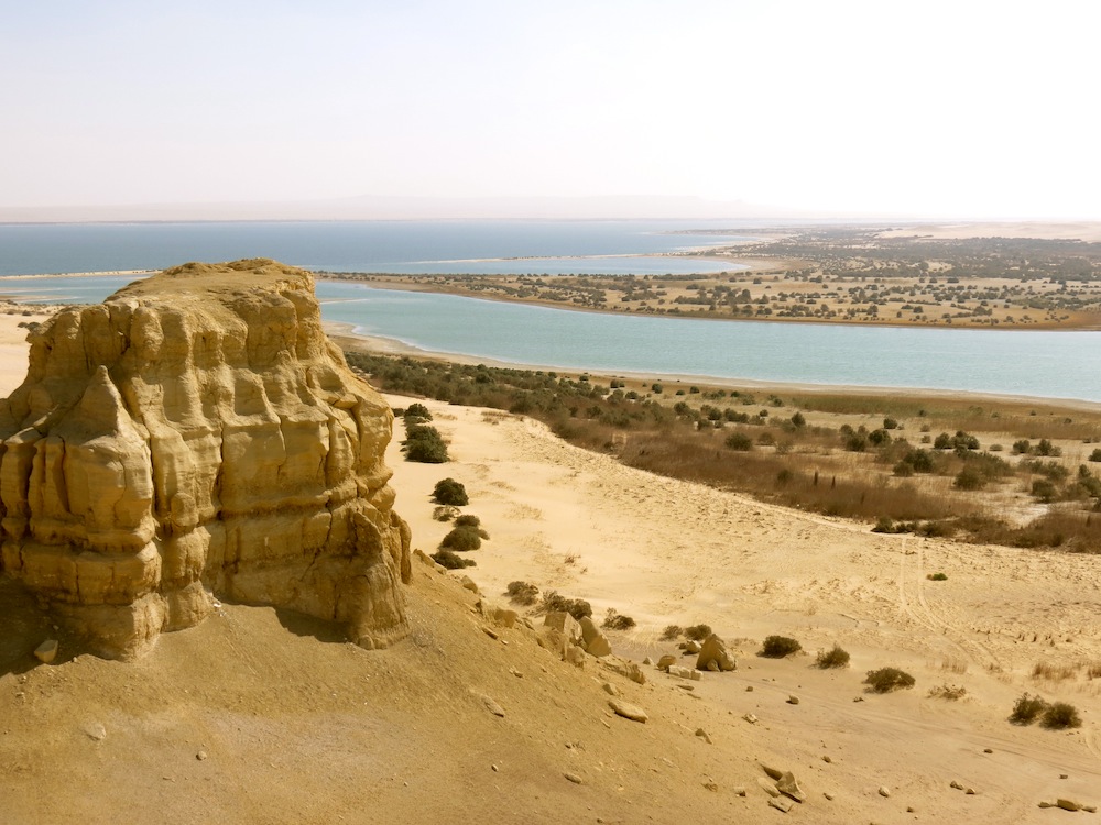 Image 10