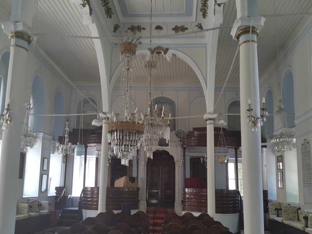 Image 7