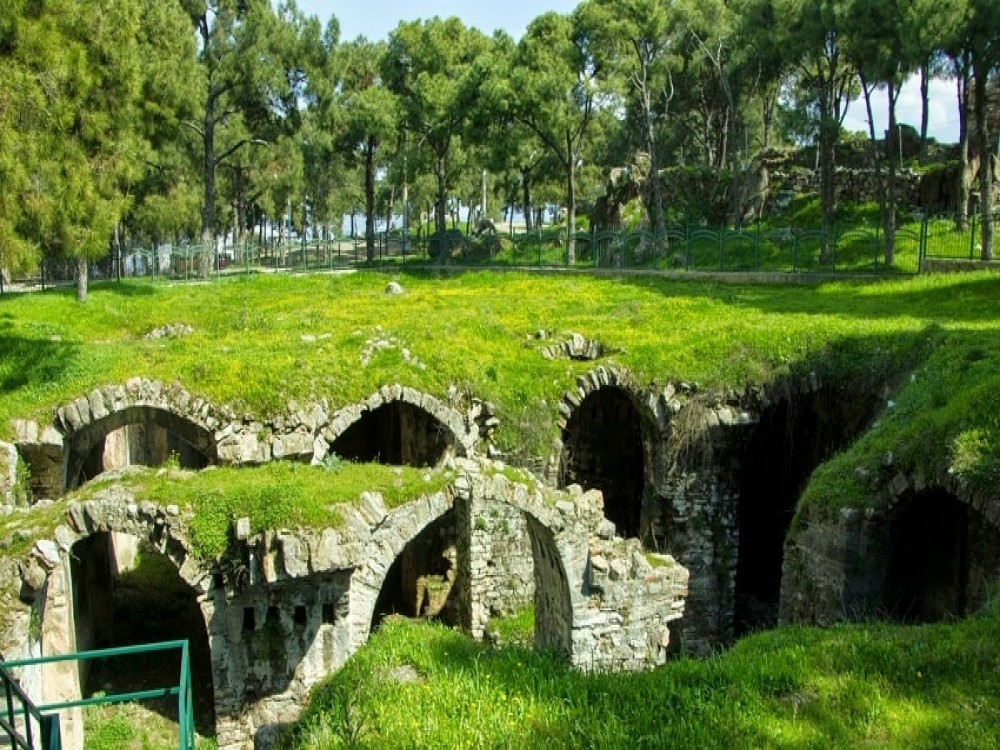 Image 4