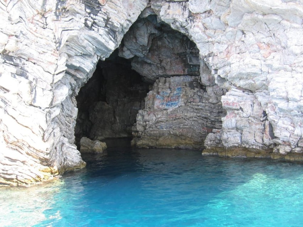 Image 4