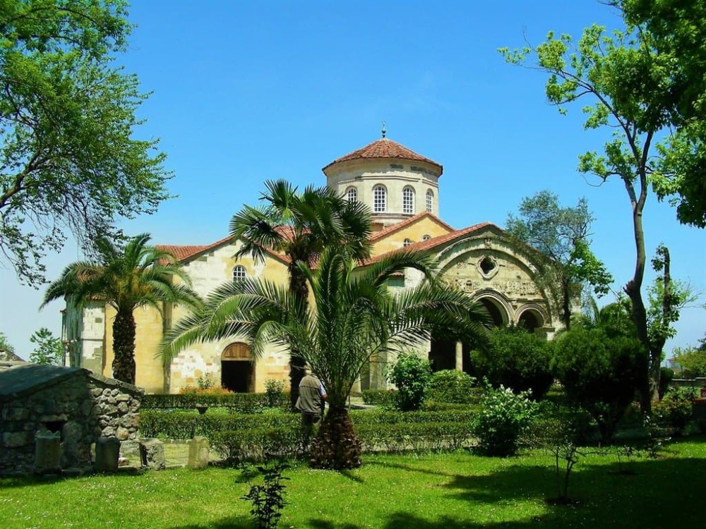 Image 5