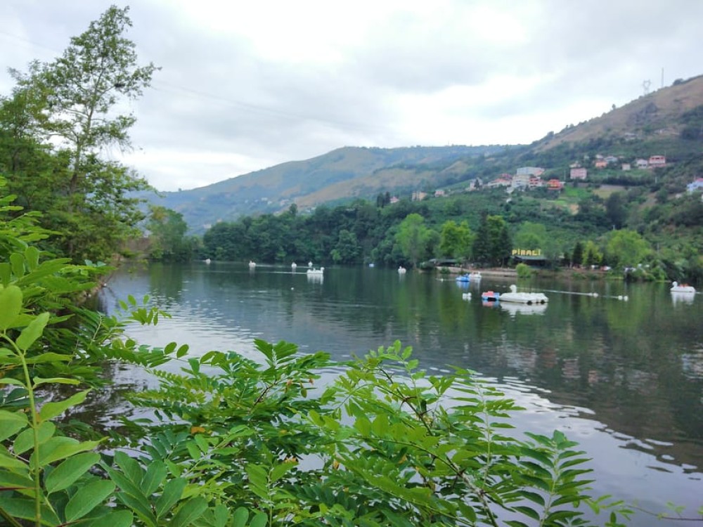 Image 6