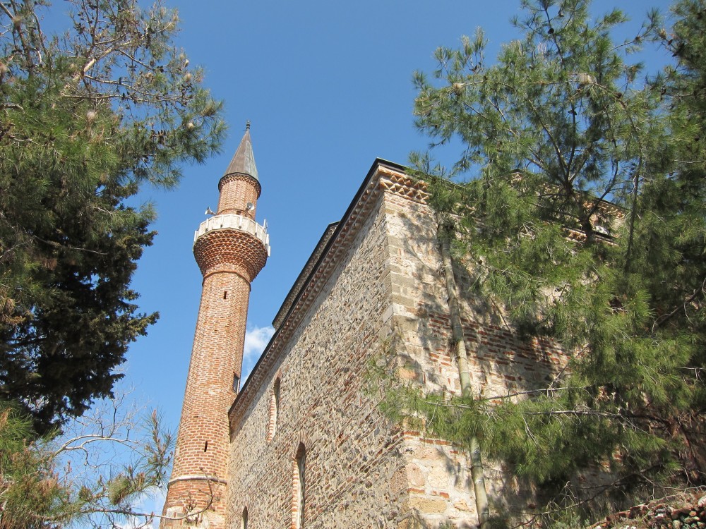Image 7