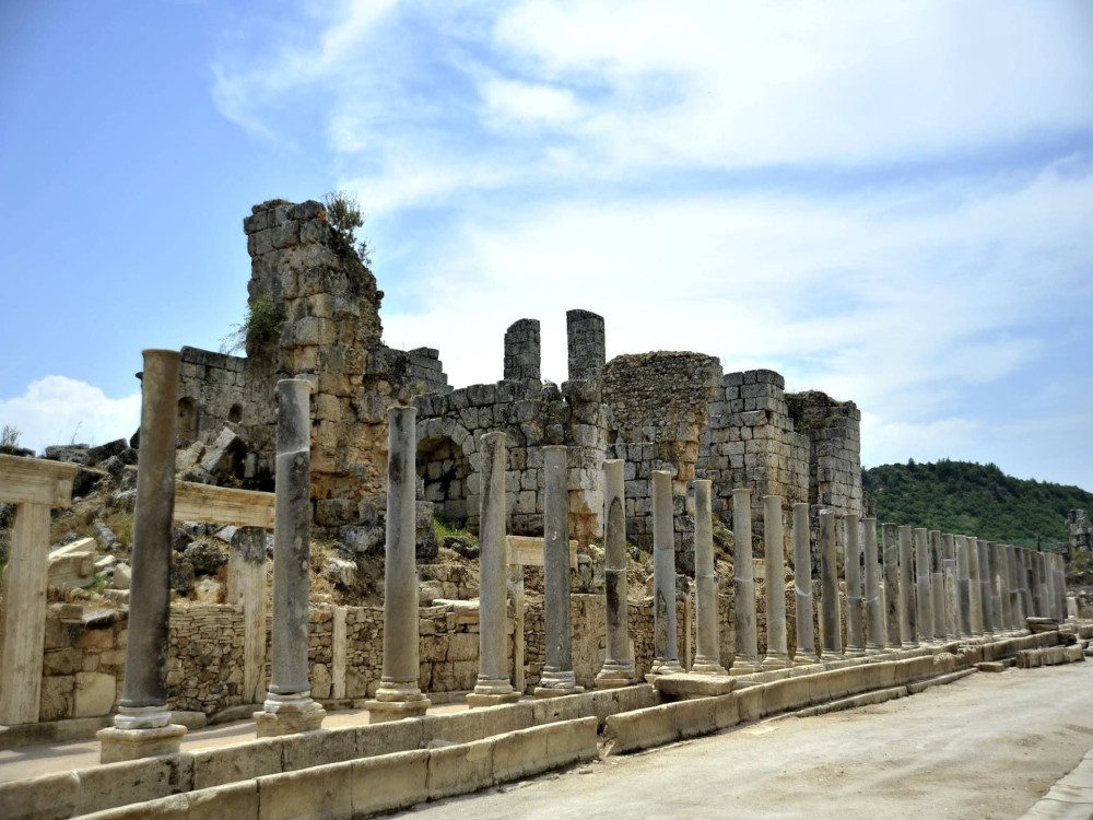 Image 7