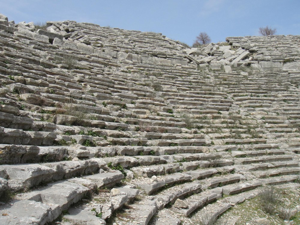 Image 8