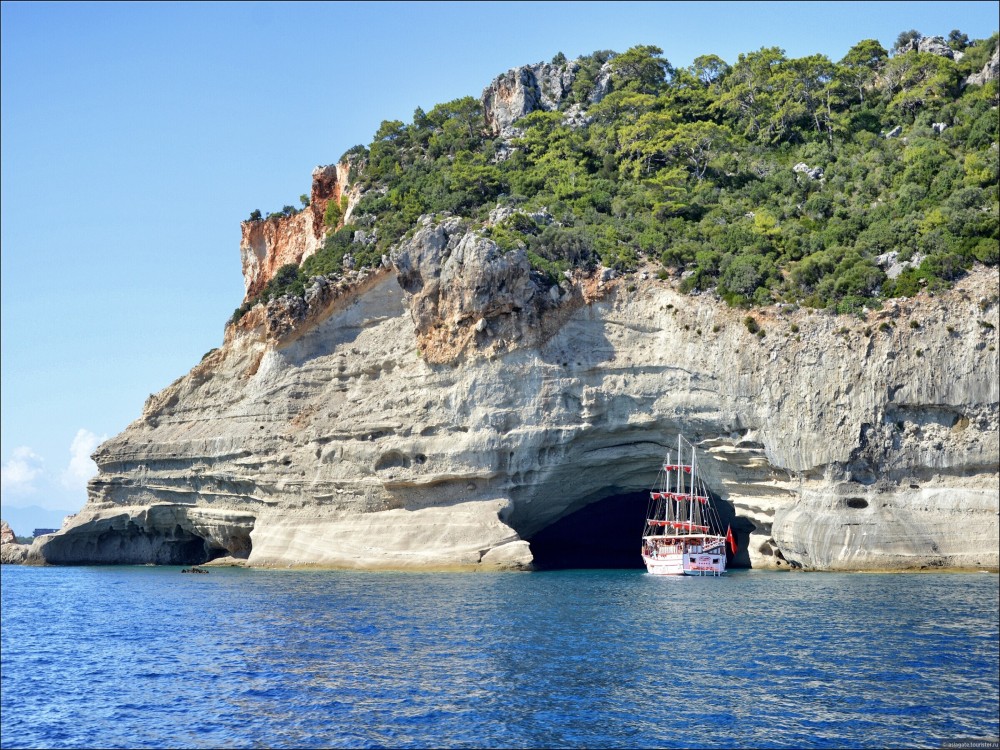 Image 6