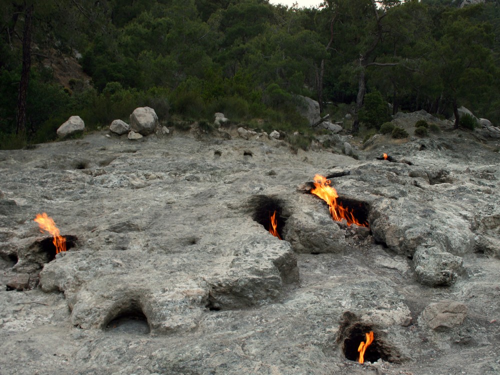 Image 7