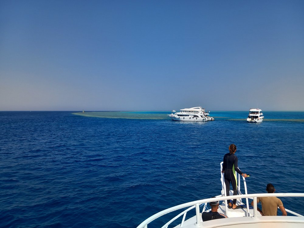 Sharm El Sheikh: Tiran Island Snorkeling Experience by Yacht | ®ExcursionMania