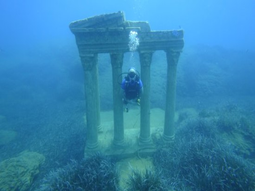 Image 5