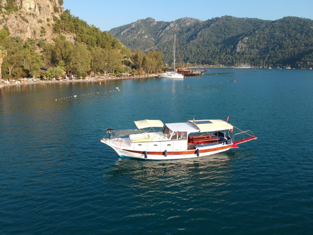 Image 7