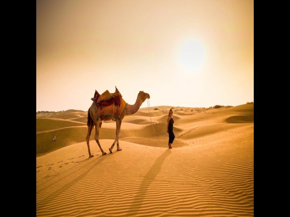 Dubai: Sunrise Balloon Flight with Camel Ride & Breakfast | ®ExcursionMania