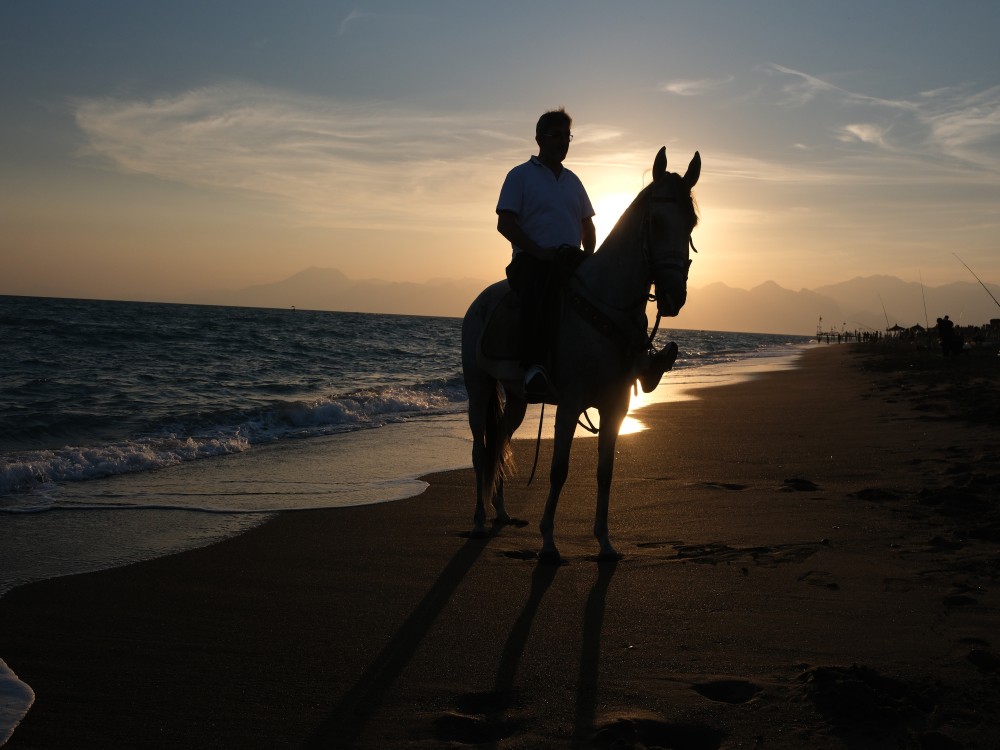 Antalya Horseback Adventure: Explore Nature’s Beauty | ®ExcursionMania