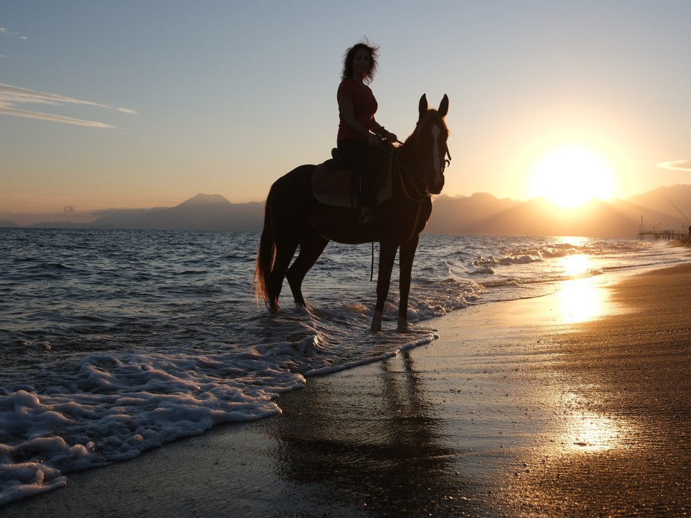 Antalya Horseback Adventure: Explore Nature’s Beauty | ®ExcursionMania