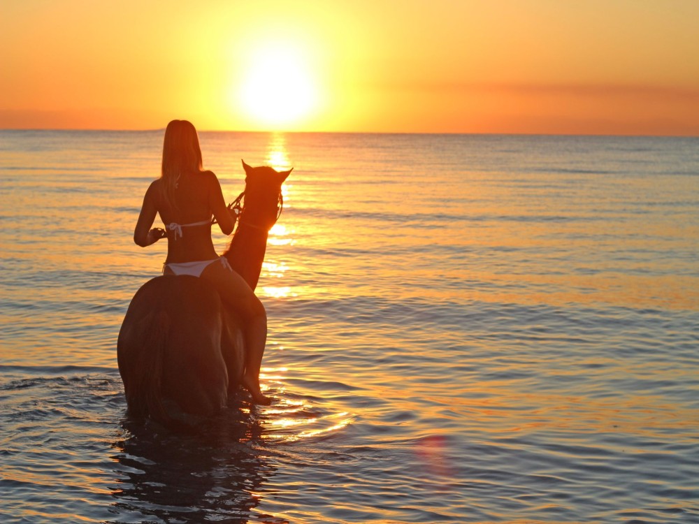 Antalya Horseback Adventure: Explore Nature’s Beauty | ®ExcursionMania
