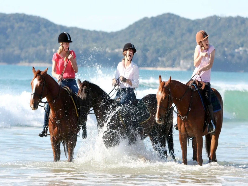 Antalya Horseback Adventure: Explore Nature’s Beauty | ®ExcursionMania