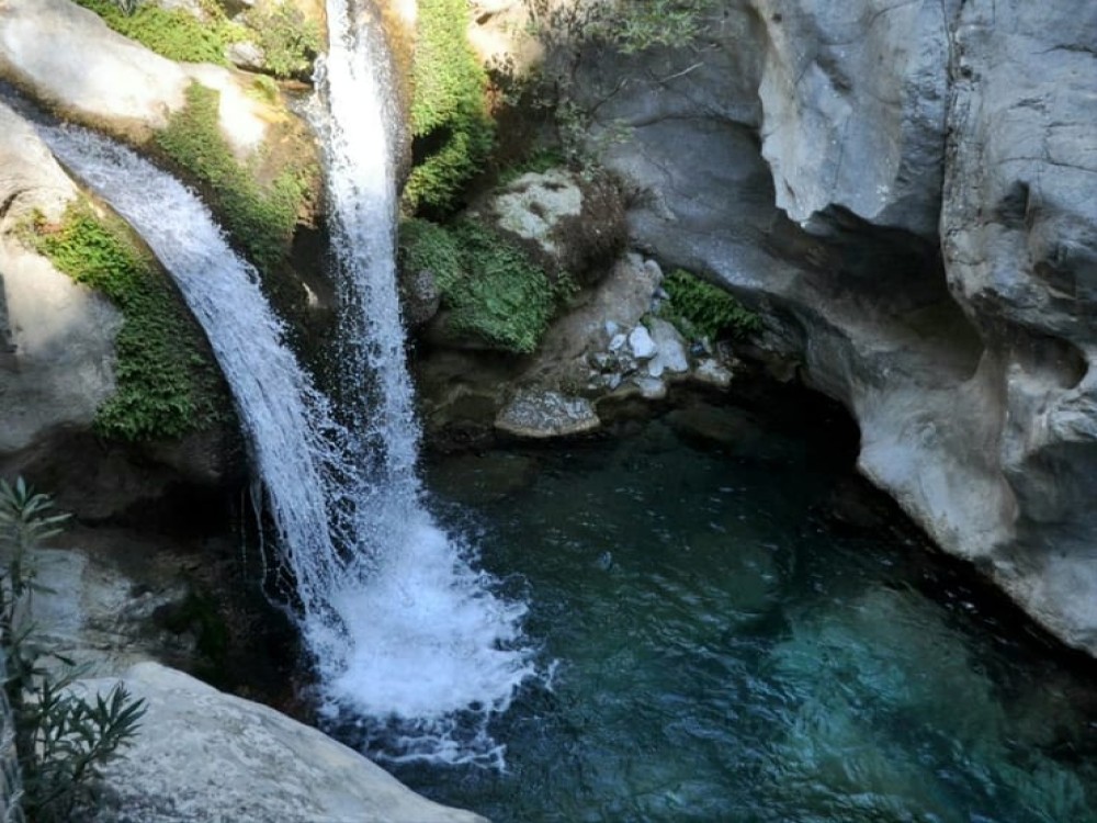 Image 1
